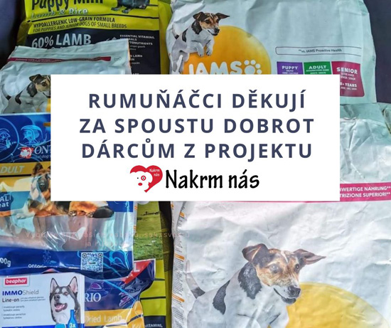 Heart for romanian dogs 21.7